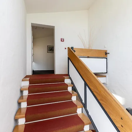 Sterntaucher Stein (Schleswig-Holstein)